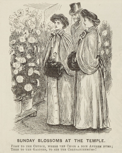Print of two ladies and a gentleman viewing the Chrysanthemums at the Temple from Punch, 25 November 1882 (MT/19/ILL/E/E11/6)