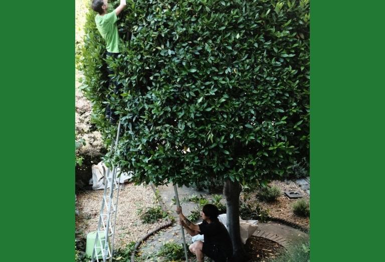 Behind the scenes winner 